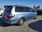 2005 Honda Odyssey EX