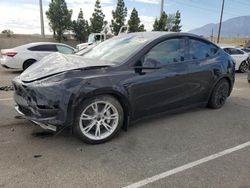 Tesla salvage cars for sale: 2023 Tesla Model y