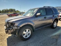 2012 Ford Escape XLT for sale in Mcfarland, WI