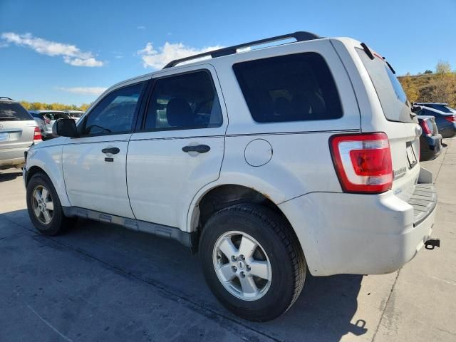 2012 Ford Escape xlt