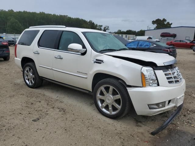 2010 Cadillac Escalade Premium