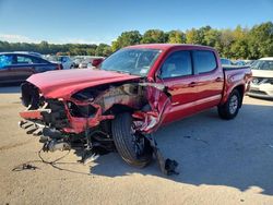2019 Toyota Tacoma Double Cab for sale in Glassboro, NJ