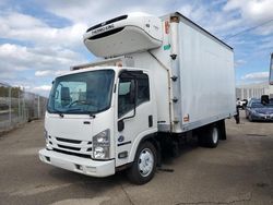 Isuzu nqr-box Truck Vehiculos salvage en venta: 2016 Isuzu NQR-BOX Truck