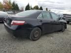 2008 Toyota Camry Hybrid