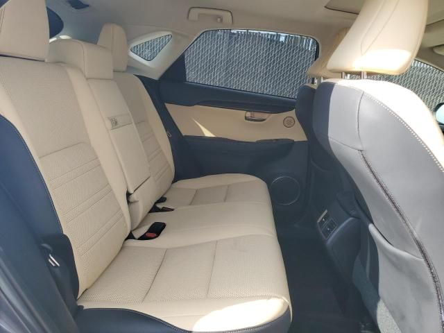 2020 Lexus NX 300H