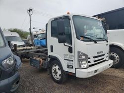 Isuzu nqr Truck cab & Chassis salvage cars for sale: 2020 Isuzu NQR Truck Cab AND Chassis