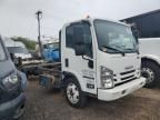 2020 Isuzu NQR Truck Cab AND Chassis