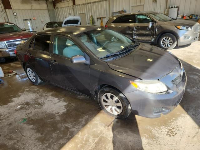 2010 Toyota Corolla Base