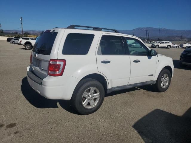 2008 Ford Escape HEV