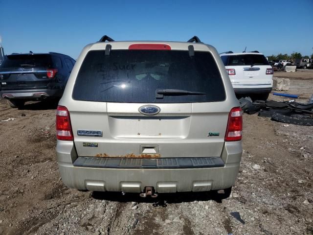 2010 Ford Escape XLT
