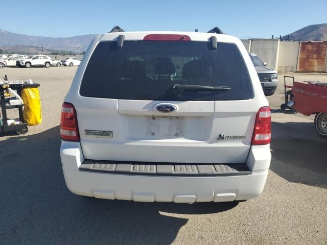 2008 Ford Escape HEV