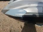 2007 Yamaha FX