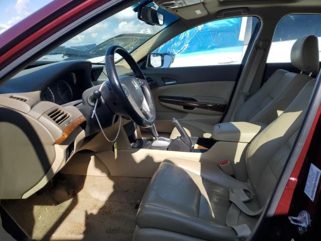 2010 Honda Accord exl