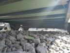 2025 Steel Pines C Argo 7X16TA2 Enclosed Cargo Trai