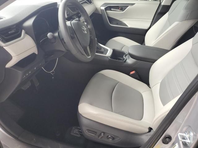 2025 Toyota Rav4 XLE Premium