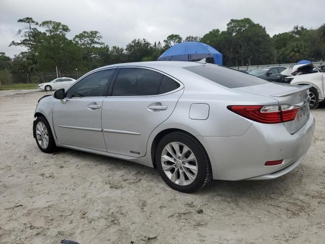 2013 Lexus ES 300H
