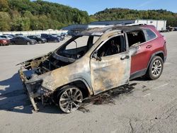 2019 Jeep Cherokee Latitude Plus for sale in Ellwood City, PA