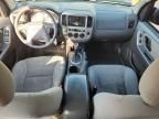 2005 Ford Escape XLT