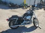 2001 Harley-Davidson XL883
