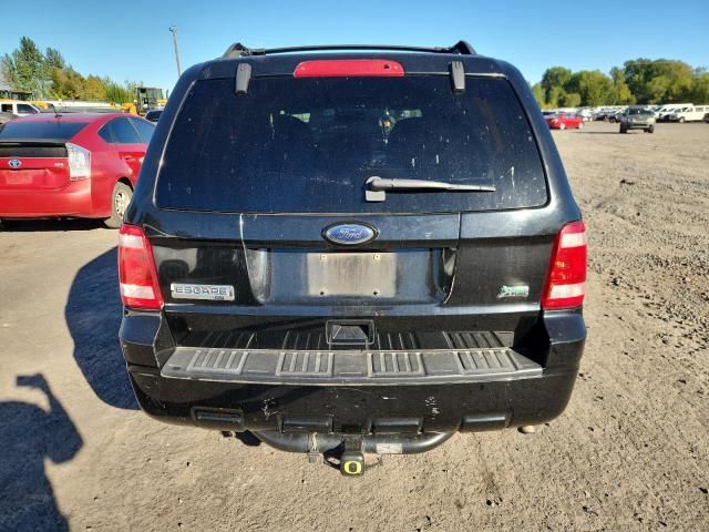 2010 Ford Escape XLT