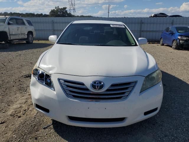 2009 Toyota Camry Hybrid