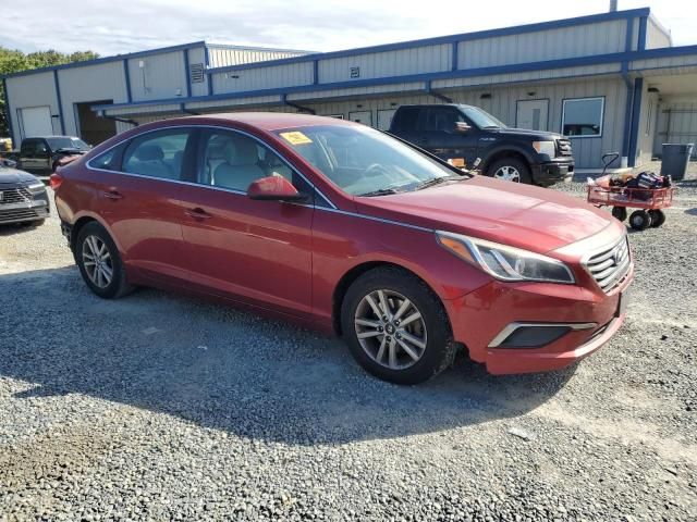 2016 Hyundai Sonata SE