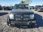2011 Dodge Nitro Heat