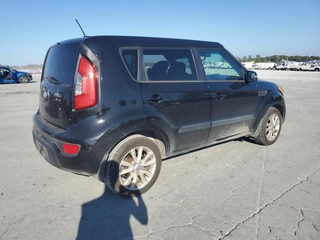 2013 KIA Soul +