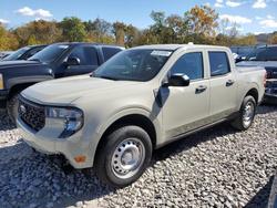 Ford Maverick salvage cars for sale: 2025 Ford Maverick xl