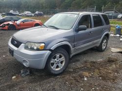 Ford Escape salvage cars for sale: 2007 Ford Escape xlt
