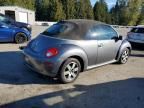 2006 Volkswagen New Beetle Convertible Option Package 2