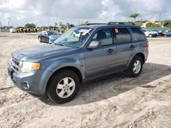 2012 Ford Escape XLT en venta en West Palm Beach, FL