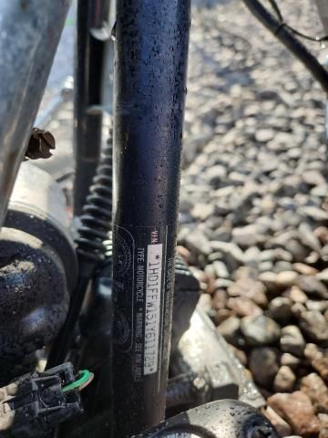 2001 Harley-Davidson Flhtci