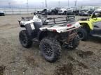 2023 Arctic Cat IC Cat Alterra 600-ATV
