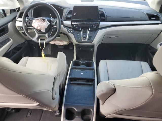 2025 Honda Odyssey exl