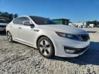 2013 KIA Optima Hybrid