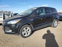 2014 Ford Escape SE for sale in Brighton, CO