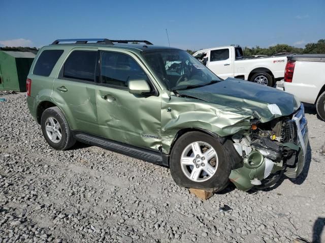 2008 Ford Escape HEV