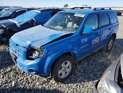 2009 Ford Escape Hybrid for sale in American Canyon, CA