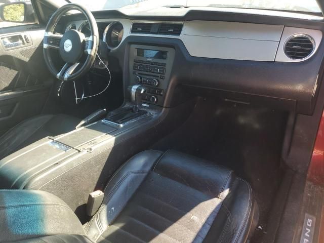 2010 Ford Mustang