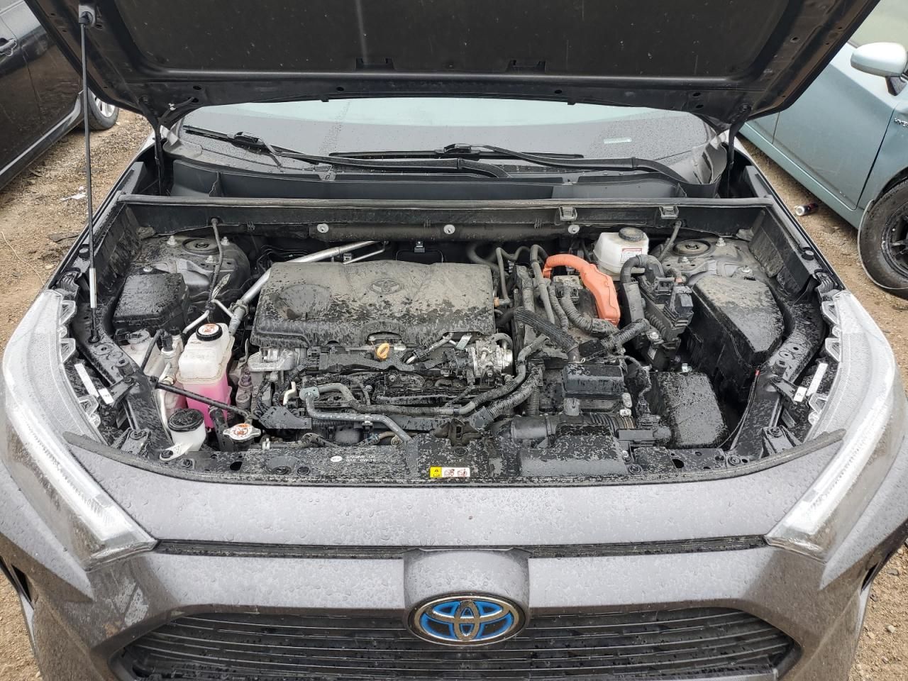 2024 Toyota Rav4 xse