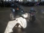 2023 Honda TRX420 TE