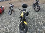 2022 Moto Guzzi V7 Stone