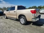 2010 Toyota Tundra Crewmax SR5