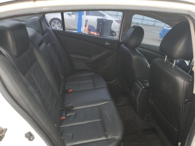 2010 Nissan Altima Base