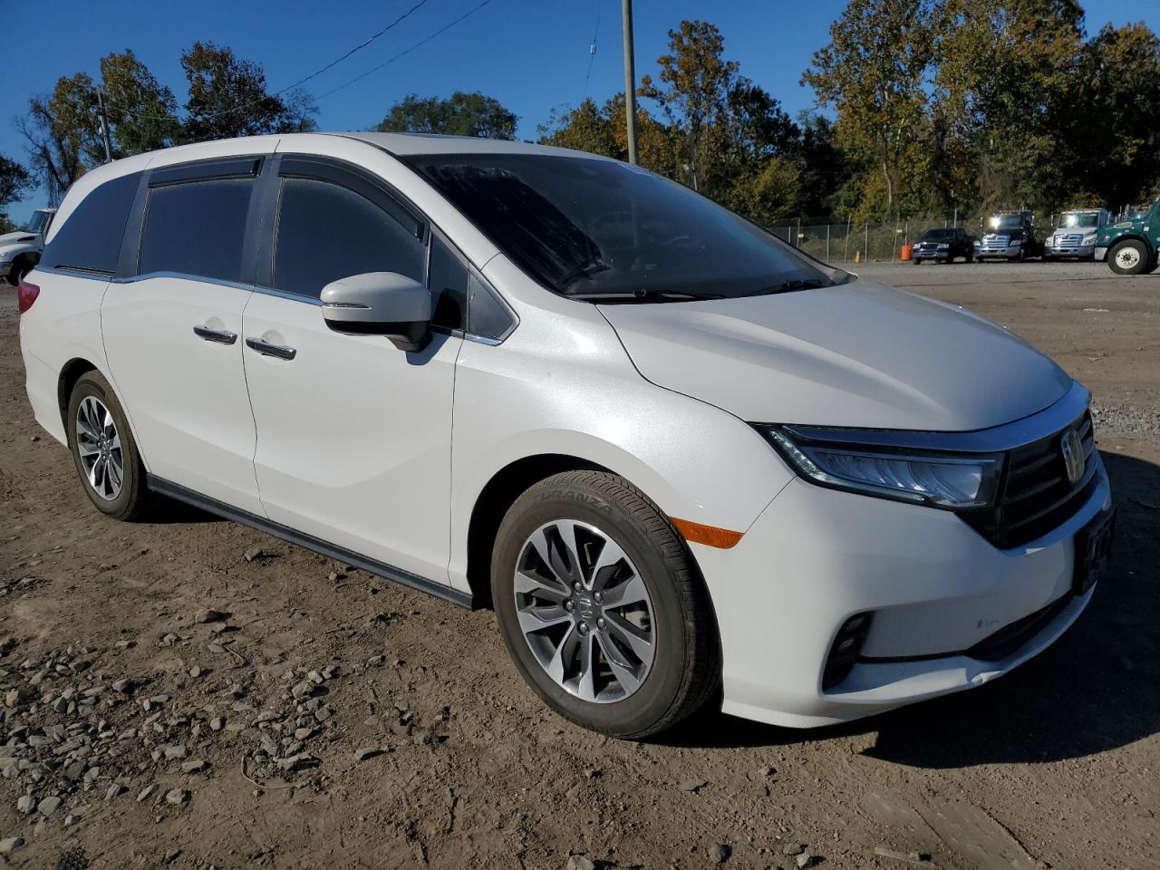 2023 Honda Odyssey exl