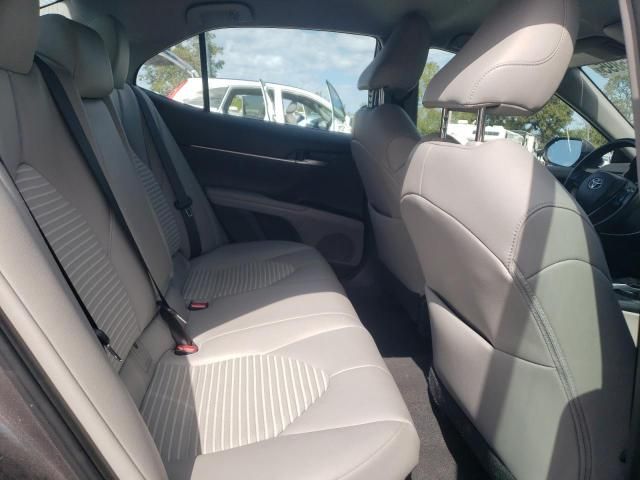 2019 Toyota Camry Hybrid