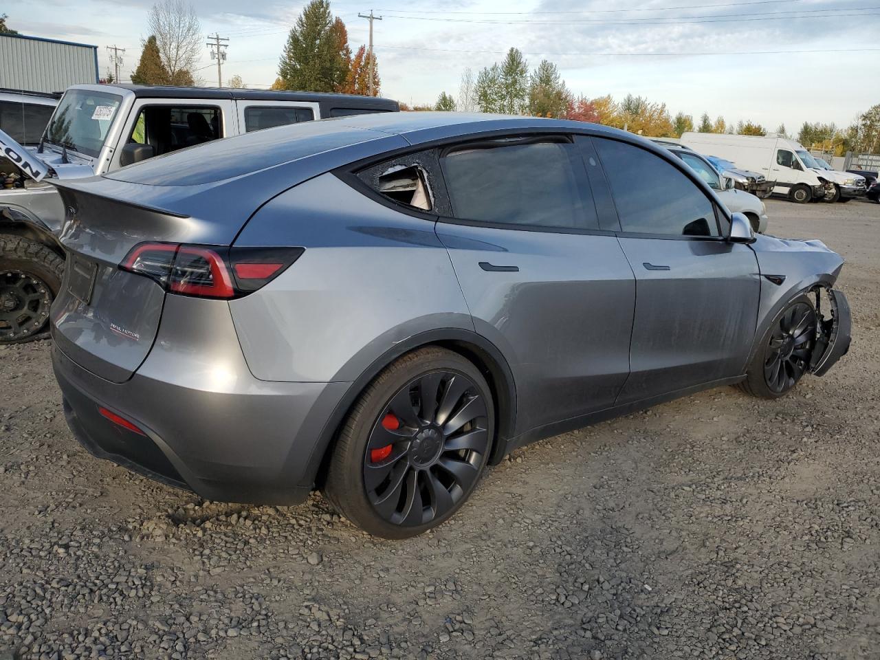 2025 Tesla Model y