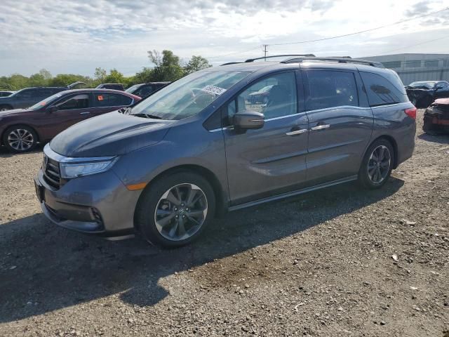 2022 Honda Odyssey Elite