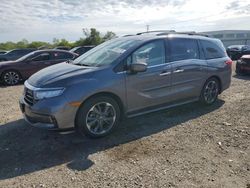 2022 Honda Odyssey Elite for sale in Chicago Heights, IL